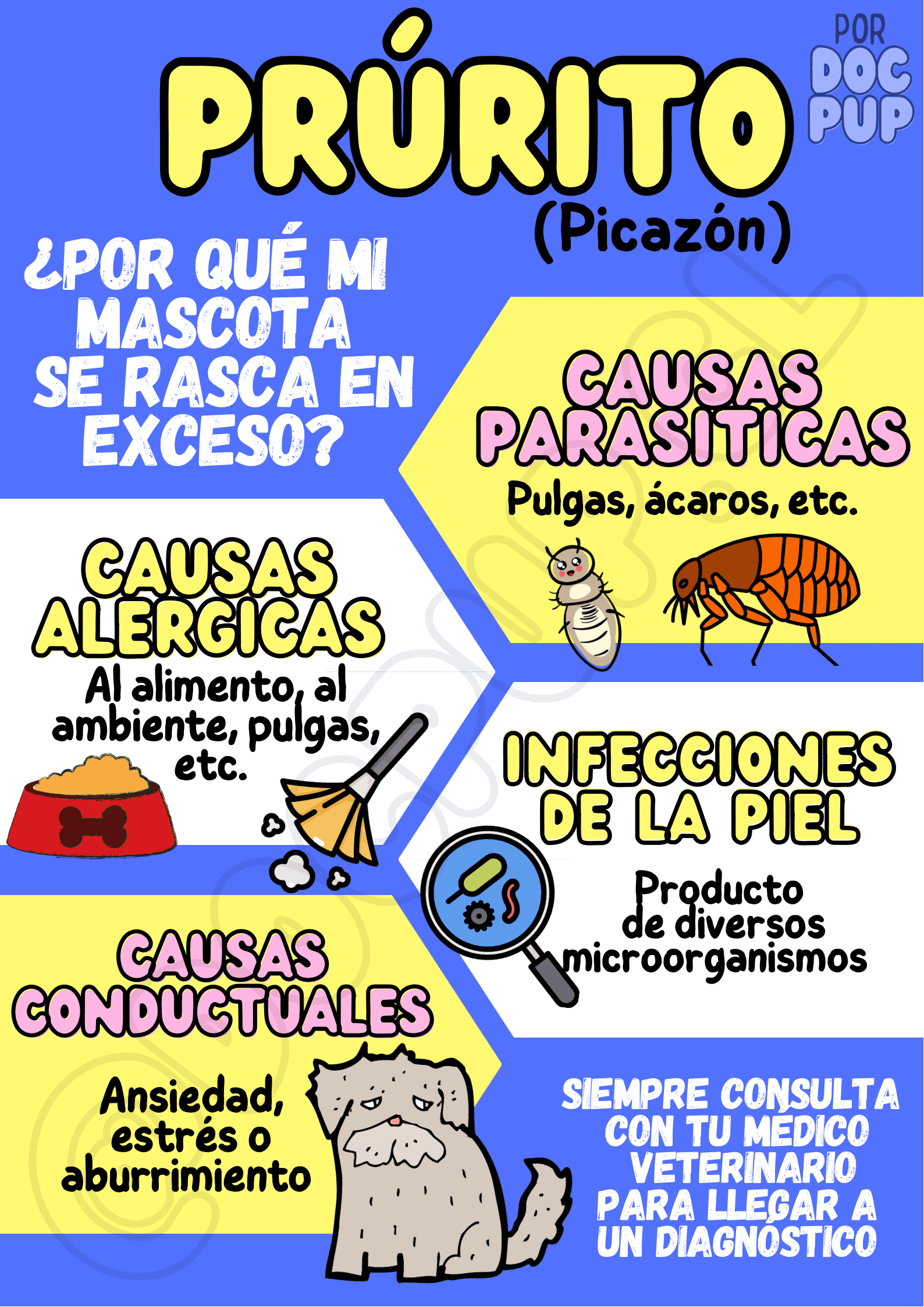Infografia por qué mi mascota se rasca en exceso