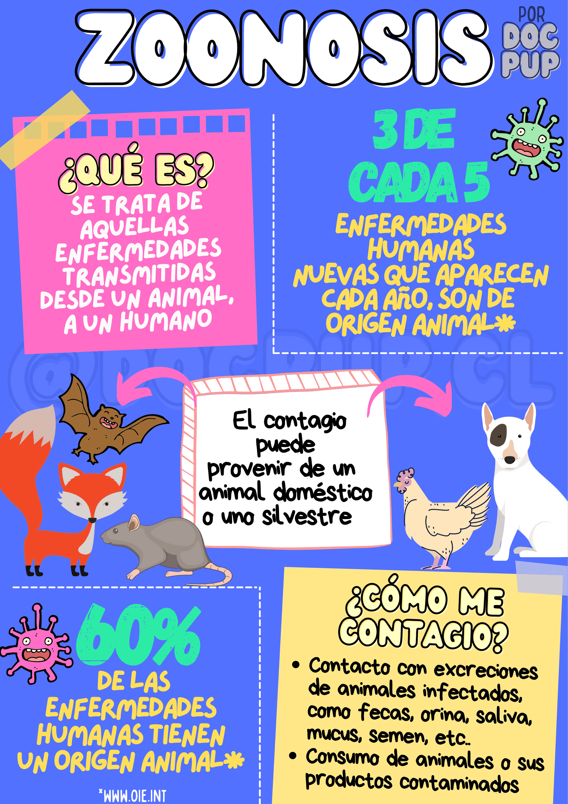 Infografia Zoonosis