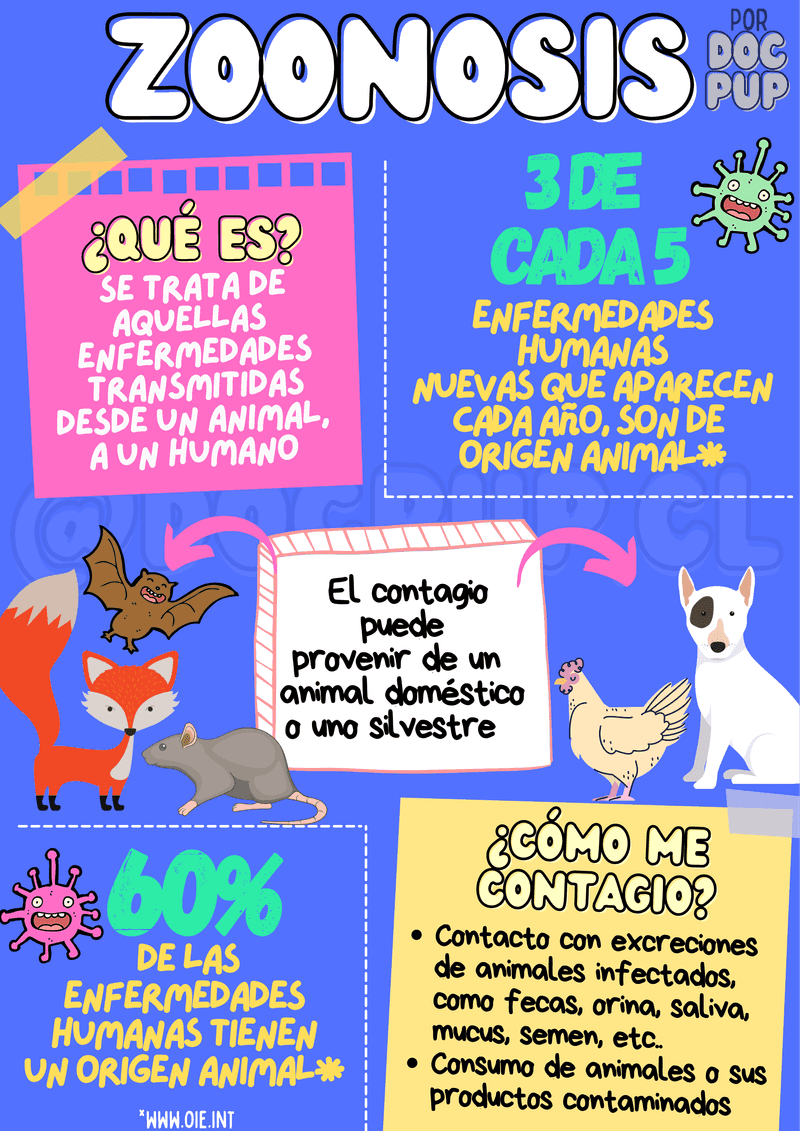 Infografia Zoonosis