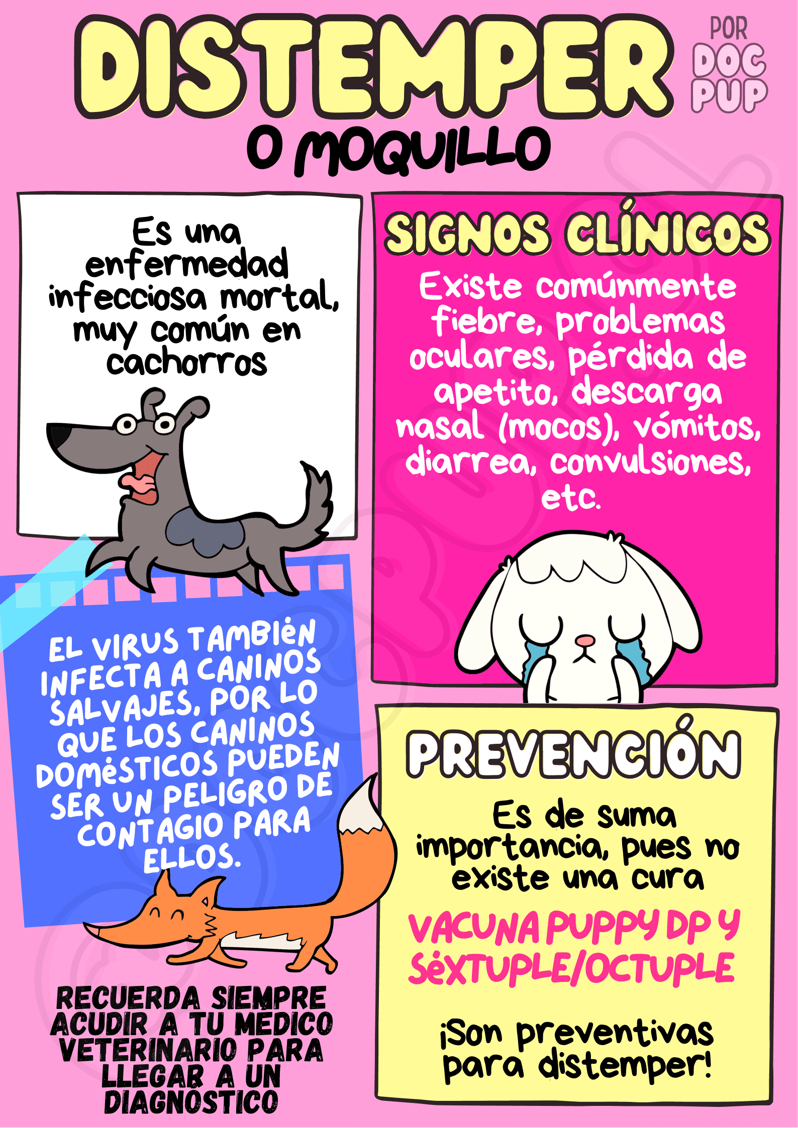 infografía de distemper
